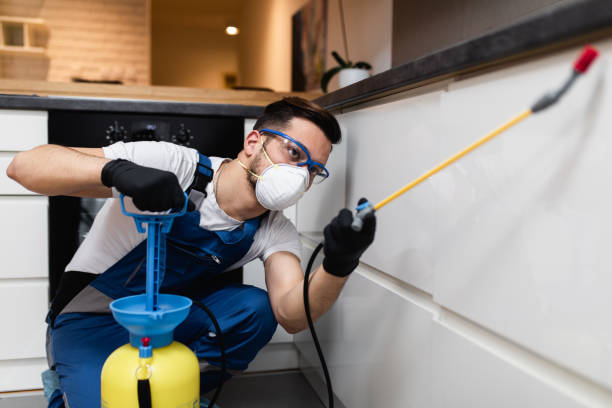 Best Commercial Pest Control Services  in Camanche, IA