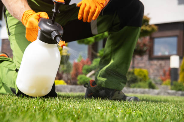 Best Rodent Control Near Me  in Camanche, IA