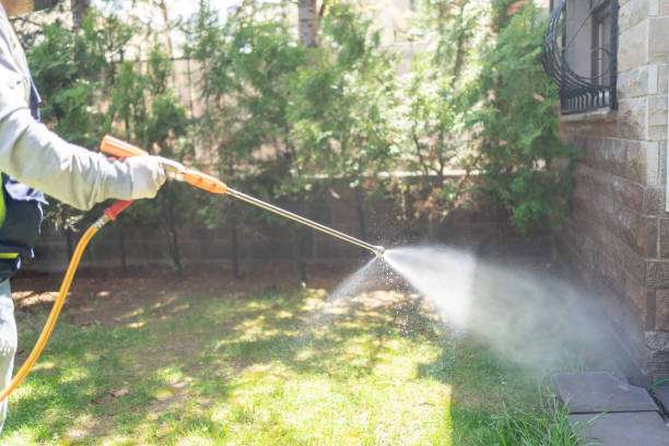 Best Exterminator Services  in Camanche, IA