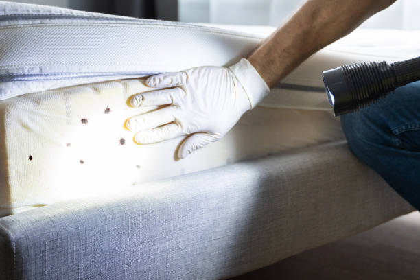 Best Wildlife Control Services  in Camanche, IA