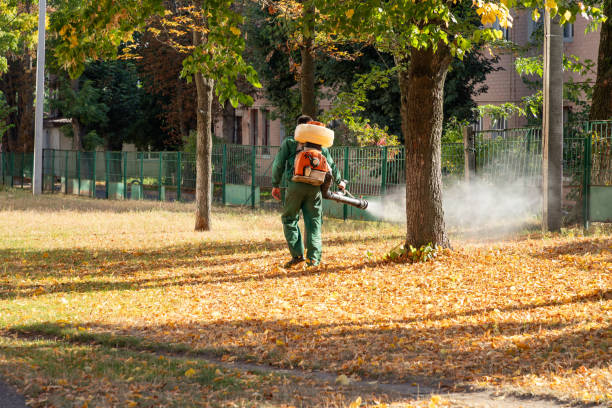 Best Mosquito Control Services  in Camanche, IA