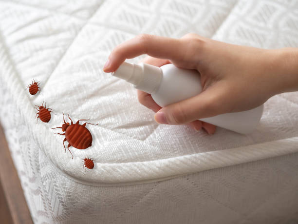 Best Best Pest Control Companies  in Camanche, IA