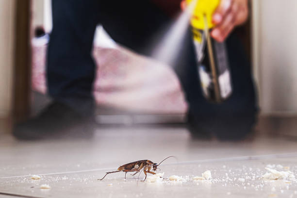 Best Affordable Pest Control Services  in Camanche, IA