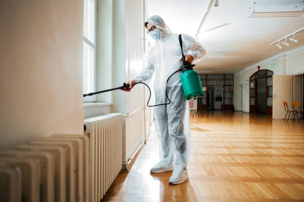 Best Cockroach Control Services  in Camanche, IA