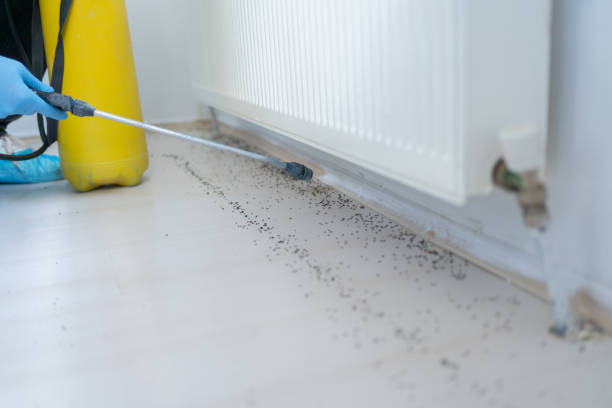 Best Pest Removal Services  in Camanche, IA