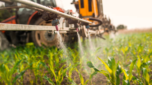 Best Pest Control Near Me  in Camanche, IA